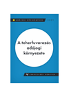 Kép 1/2 - A teherfuvarozás adójogi környezete