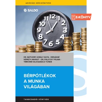 E-Könyv: Bérpótlékok a munka világában