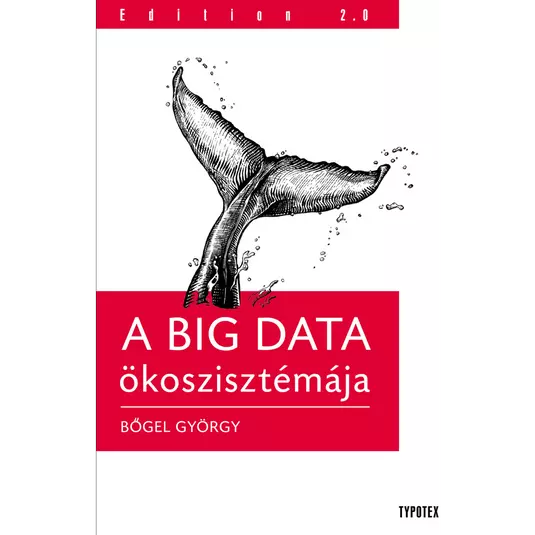 A BIG DATA ökoszisztémája könyv