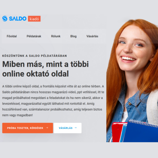 saldopeldatar.hu online adózási feladatok